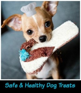Enjoy these safe and healthy dog treats - Fido says thank you!