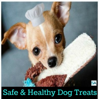 Keeping your dog healthy with safe dog treats.