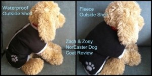 Zach & Zoey NorEaster dog coat review. Great Find!