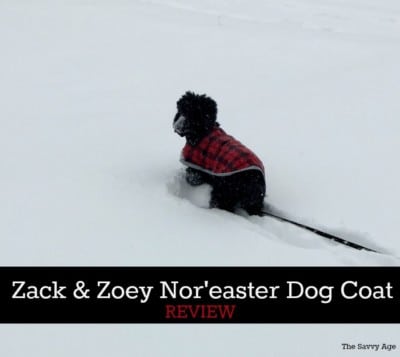 Zack & Zoey Nor’Easter Dog Coat Review