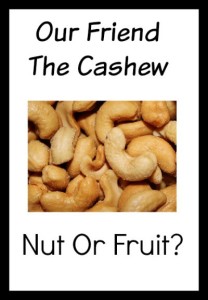 Is the cashew a nut or fruit? Either way - yum!