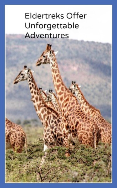 Eldertreks offers trips and adventures for the 50 plus traveller.