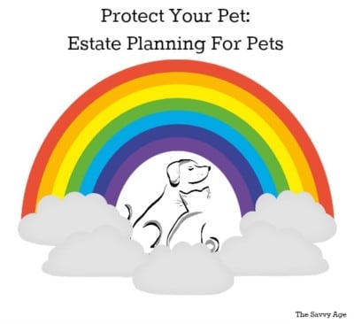 Estate Planning For Pets: Protecting Your Pet