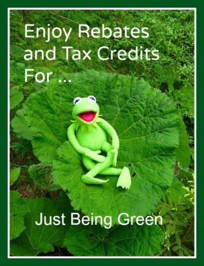 Enjoy energy efficient rebates and tax credits just for being green!