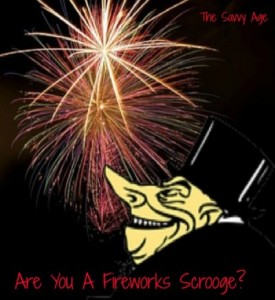 Raise your hand if you are a fireworks scrooge! Pets and home be wary of firework season.