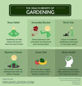 Gardening helps Seniors fight dementia.