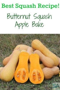 Butternut Squash Apple Bake recipe.Butternut squash and apples combine into this yummy dish anytime of the year!