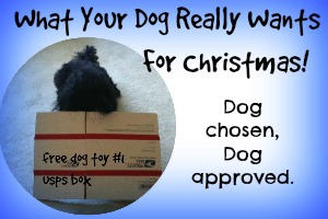 DIY Homemade Dog Toys For Christmas – Woof!