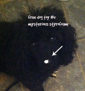 Enjoy the best free DIY dog toys for Christmas!
