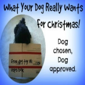 Easy DIY dog toys which are dog chosen, dog approved for the holidays.