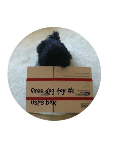 The free DIY dog toys your dog really wants for Christmas!