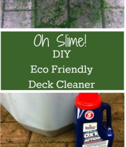 Has your deck been attacked by green slime? DIY Eco friendly safe deck cleaner. Safe for family, pets and lawn!