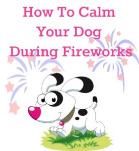 Natural and healthy living remedies to help calm your dogs anxiety during firework season. Separation anxiety, thunderstorm remedy suggestions for your dog or puppy.