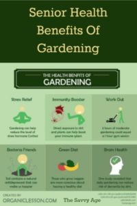 The wonderful health benefits of gardening for seniors!
