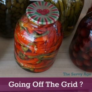 Ever dream of going off the grid and homesteading? Tips and tutorials on Pinterest Off The Grid Board