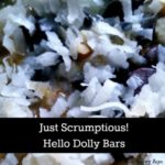 Scrumptious Hello Dolly Bar recipe. Noone can eat just one!