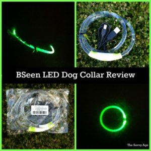 Fun and practical Bseen LED Dog Collar. Yes we can see you now!