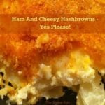 Great recipe for ham leftovers! Ham And Cheesy Hashbrowns recipe.