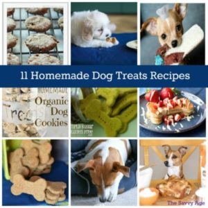 Enjoy 11 Homemade and Healthy Dog Treats recipes for your favorite furry family member!