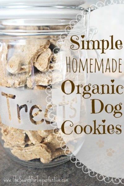 healthy dog treats recipes
