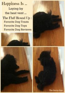 Dog reviews, favorite dog products, favorite healthy and homemade dog treats.