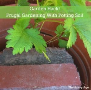 Garden hack for container gardening. Save money. recycle and use less potting soil!
