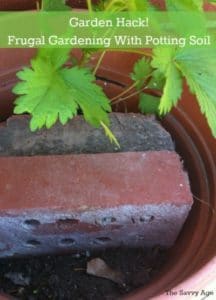 Garden hack for container gardening. Save money. recycle and use less potting soil!