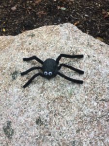 Halloween Walnut Shell Spider for Kids.