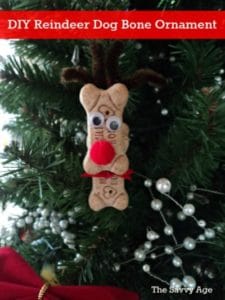 Fun DIY Reindeer craft. Make a reindeer ornament from dog bones to add a smile to your tree this season!