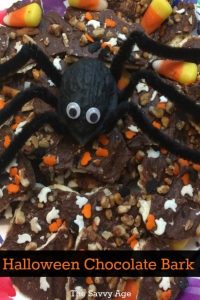Halloween bark with spider sitting on top