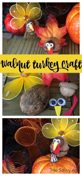 Collage of materials for walnut turkey: acorn, walnut, felt, googly eyes.