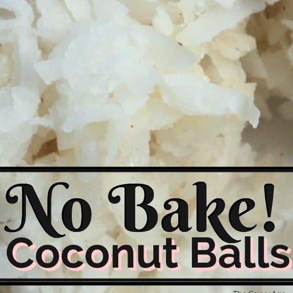 Healthy No Bake Coconut Balls Recipe