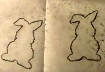 bunny outline on baking sheet