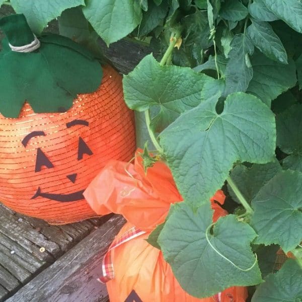 Make A Recycled Pumpkin! Halloween Craft For Kids