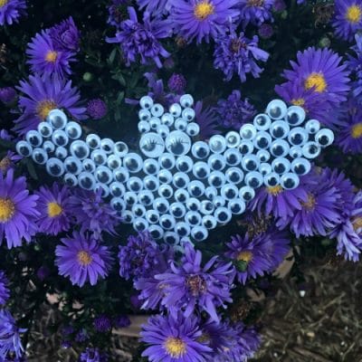 Bat filled with googly eyes in purple flowers