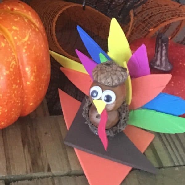 Thanksgiving Acorn Turkey Craft