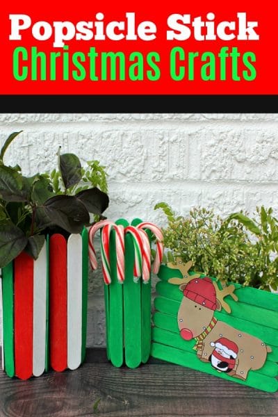 Green popsicle stick vases filled with flowers and candy canes.