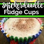 Snickerdoodle fudge cup