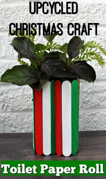 Christmas vase made with red, green and white popsicle sticks on a toilet paper roll. Vase is filled with garden greens.